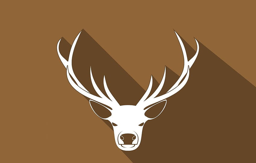 nature, minimalism, deer ...goodfon, deer antlers HD wallpaper