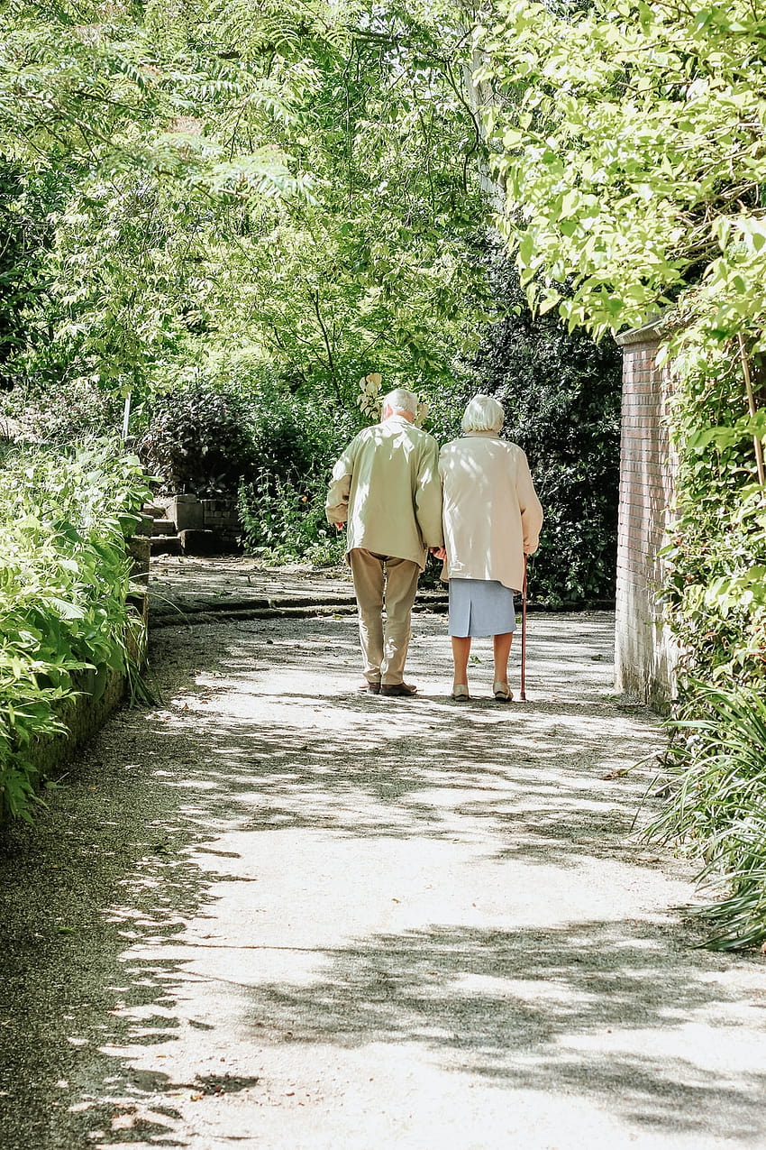 50 Elderly Couple [], garden couple HD phone wallpaper