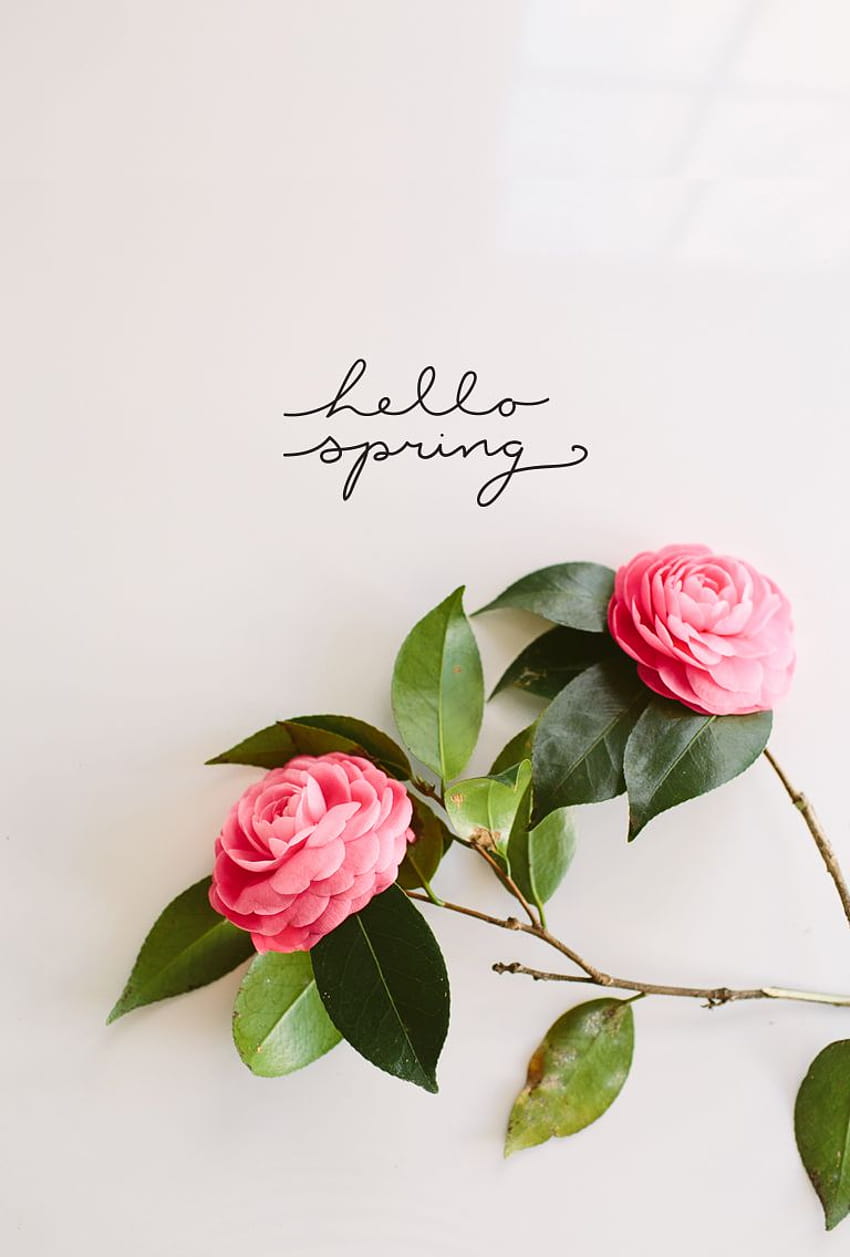 DIY Foraged Spring Bouquet, der Frühling kommt HD-Handy-Hintergrundbild