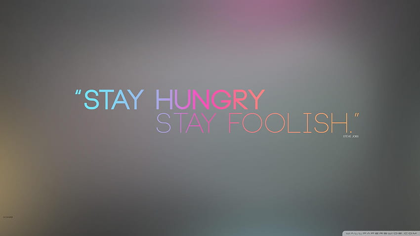 Stay Foolish Ultra Backgrounds for, stay hungry stay foolish HD wallpaper