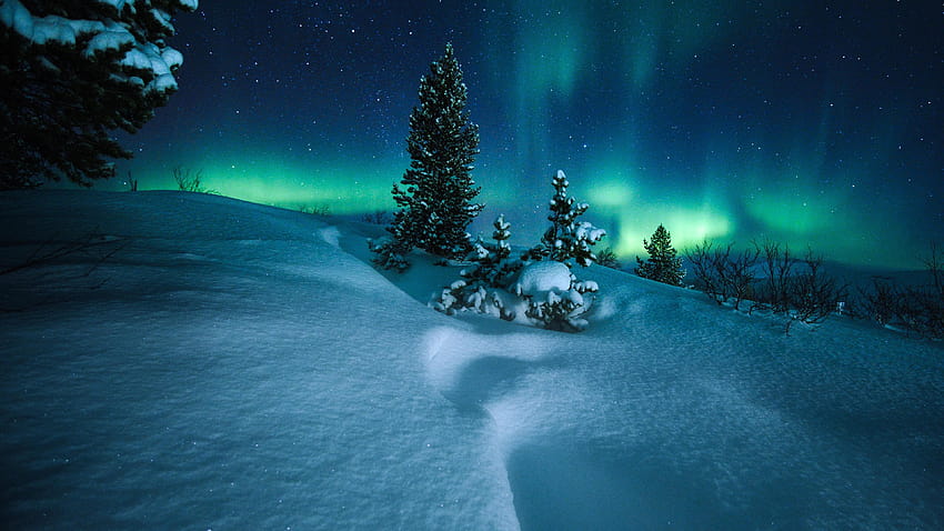 Northern Lights Arctic Circle Norway, arctic landscape HD wallpaper