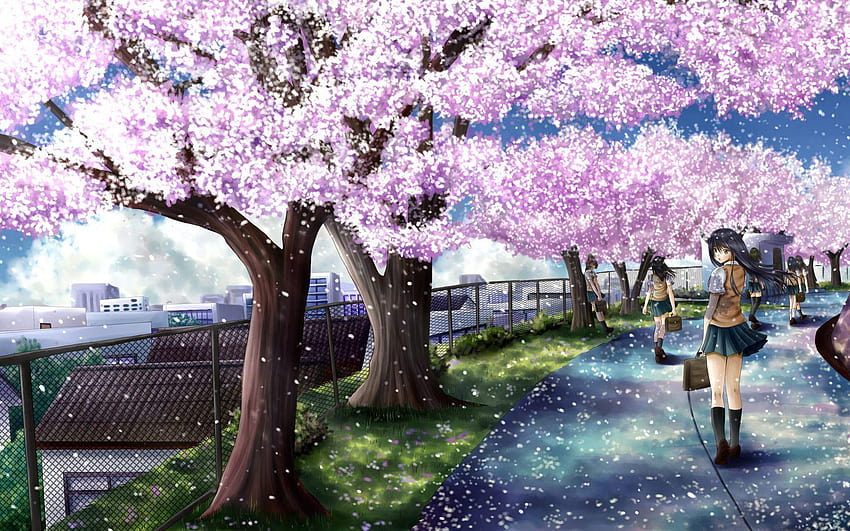 anime sakura tree, anime aesthetic blossom HD wallpaper