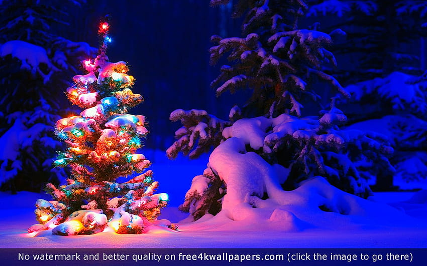 Snowy Christmas Tree Lights HD wallpaper