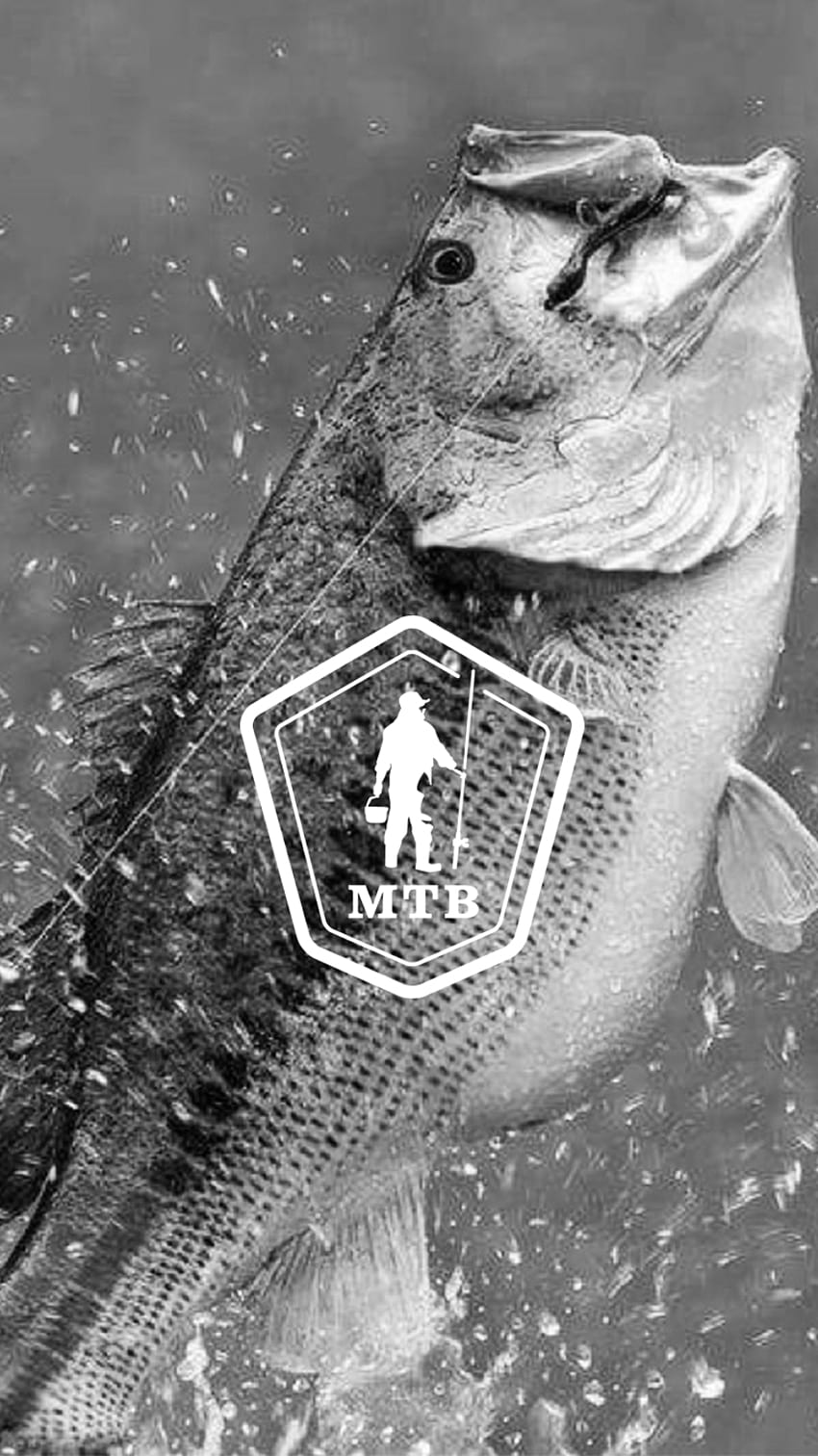 9 Fishing Phone You Should Use Right Now!, bass HD phone wallpaper