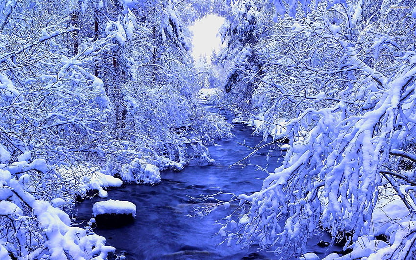 River in winter forest, gallery , 2560x1600 p, screen HD wallpaper | Pxfuel