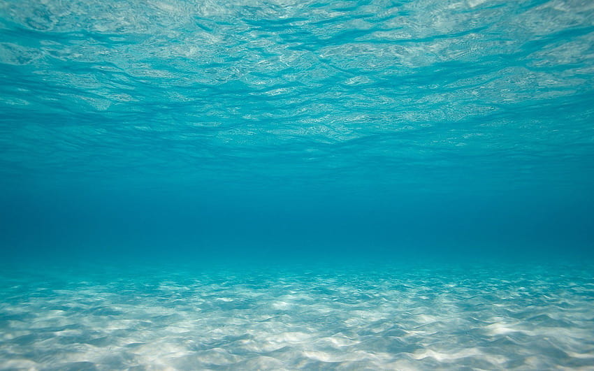 Ocean Floor, sea floor HD wallpaper