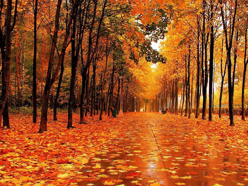 Fall, country town in autumn HD wallpaper | Pxfuel