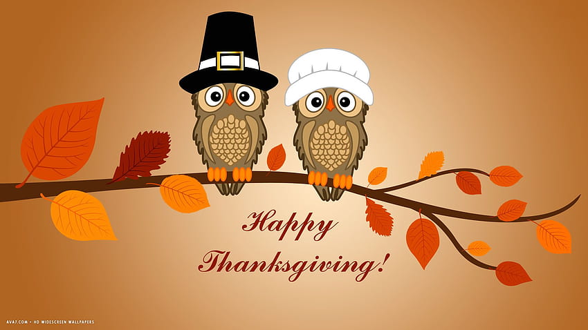 happy thanksgiving two owls branch leaves vector holiday HD wallpaper