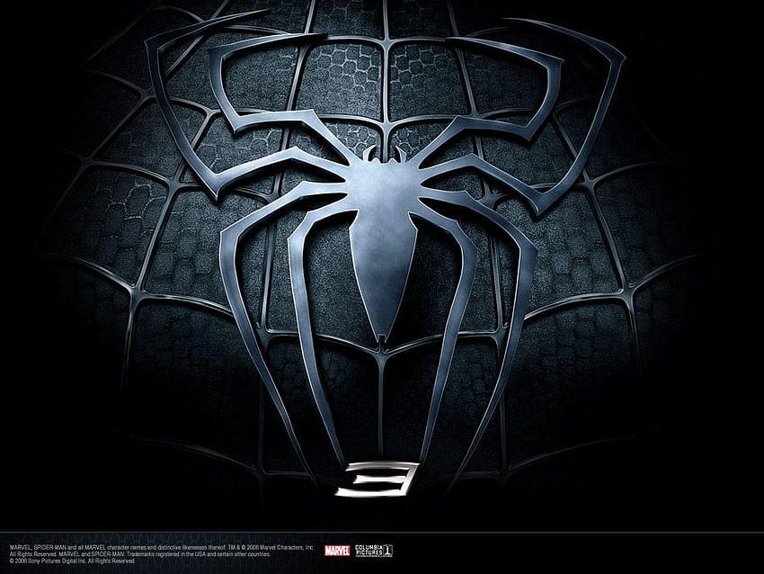  3D  el hombre araña  , el hombre araña, el hombre araña   3d fondo de pantalla