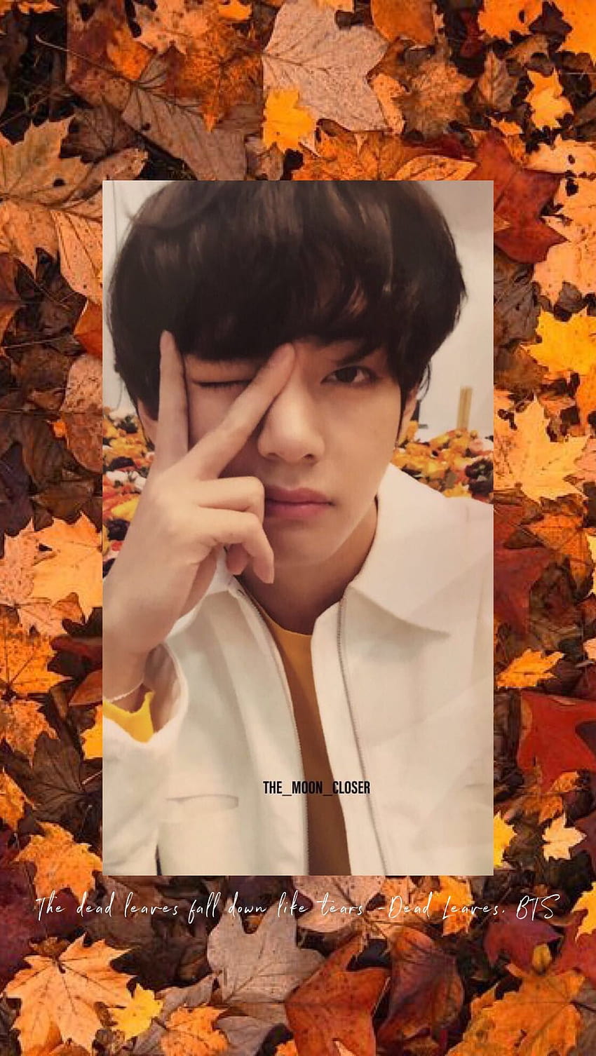 Taehyung, autumn aesthetic kpop HD phone wallpaper