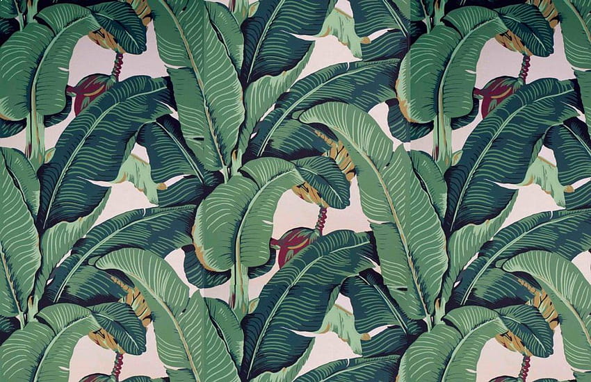 Martinique Banana Leaf HD wallpaper