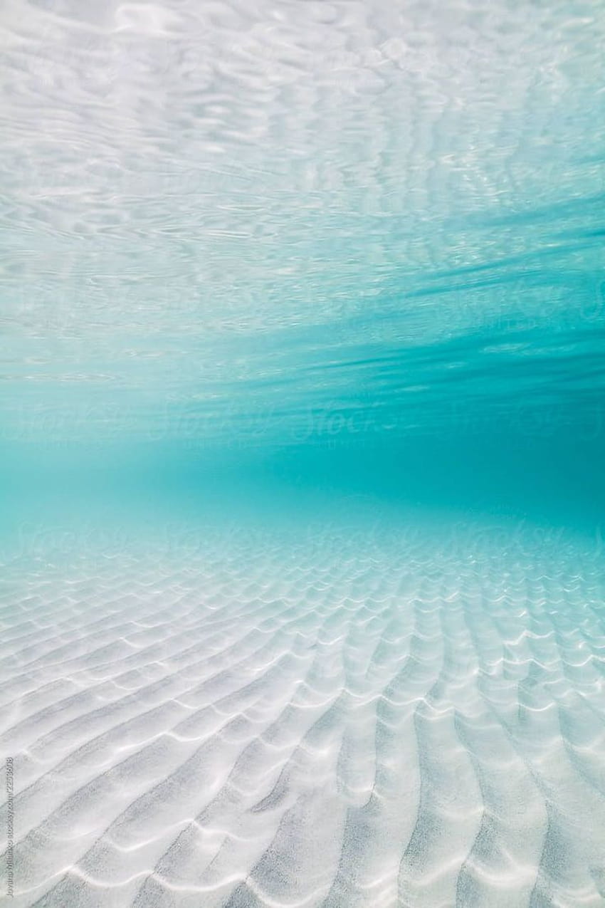 Jovana Milanko의 투명한 열대 바다 얕은 물, 해저 HD 전화 배경 화면