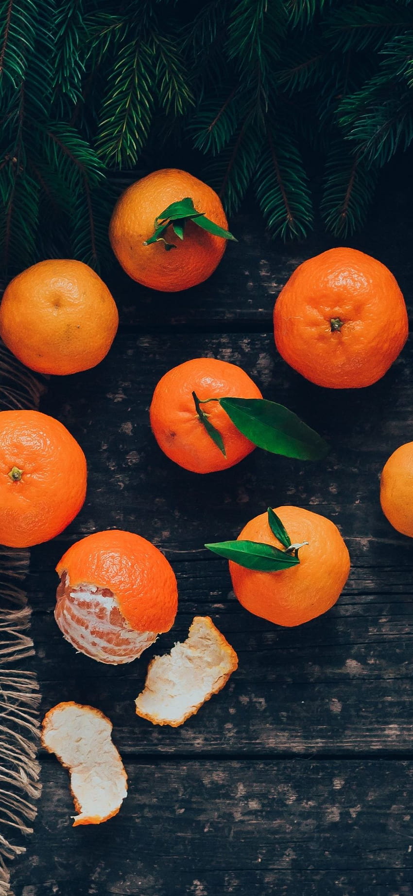 Orange Fruit Wallpapers  Top Free Orange Fruit Backgrounds   WallpaperAccess
