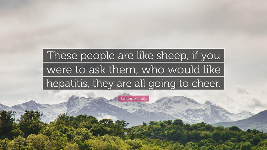 Santino Marella Quote: “These people are like sheep, if you were to, hepatitis HD wallpaper