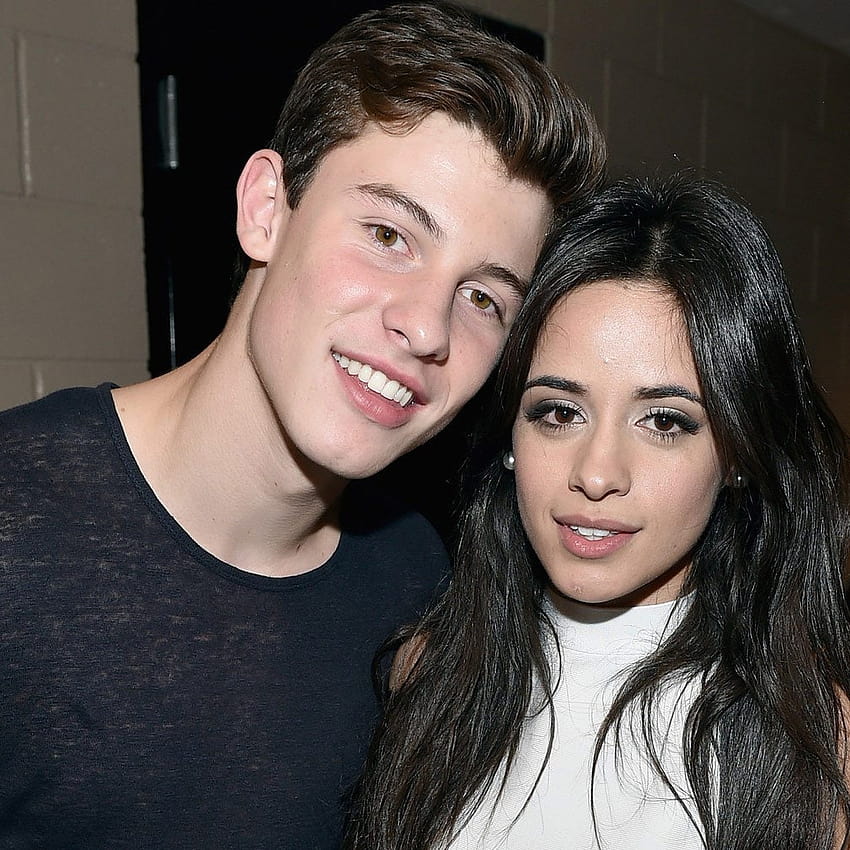 Camila Cabello Shares a of Shawn Mendes Braiding Her Hair to Instagram, shawn mendes i know what you did last summer HD phone wallpaper