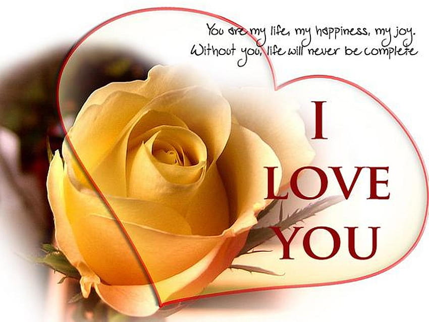 Romantic Gift I Love You, with message about love HD wallpaper