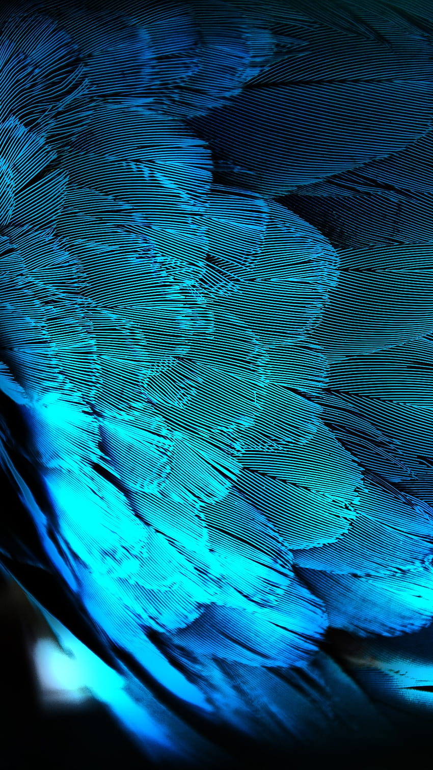 Blue Peacock Feathers iPhone 6 Plus [1080x1920] for your , Mobile & Tablet, iphone krishna peacock feather HD phone wallpaper