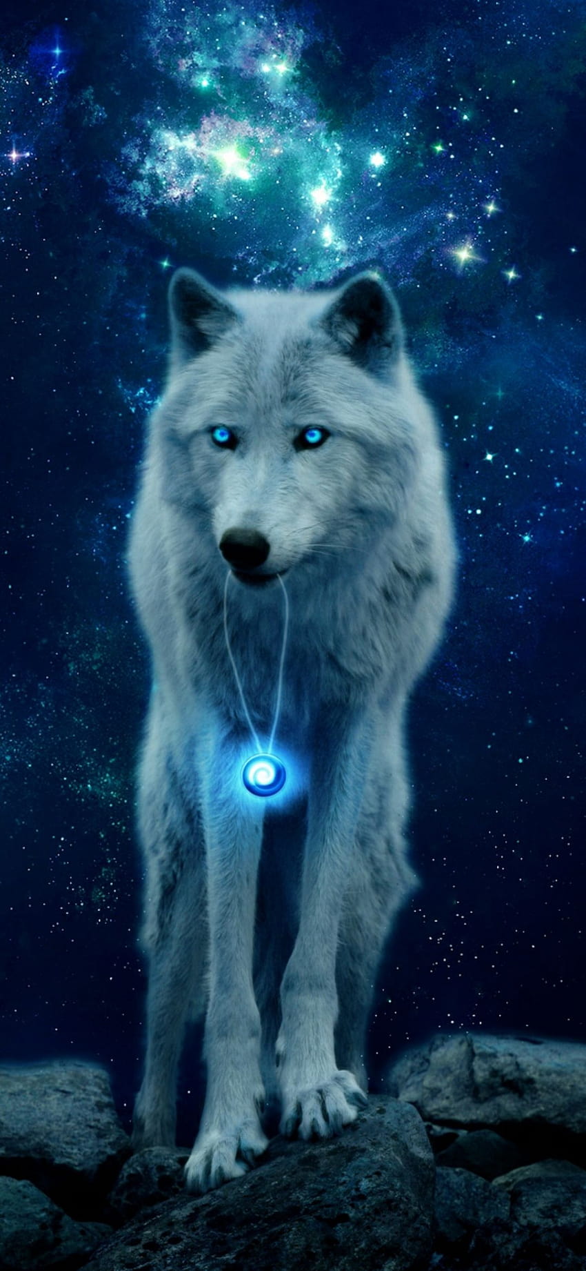 ein Wolf HD-Handy-Hintergrundbild