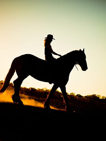 Cowgirl Pictures  Download Free Images on Unsplash