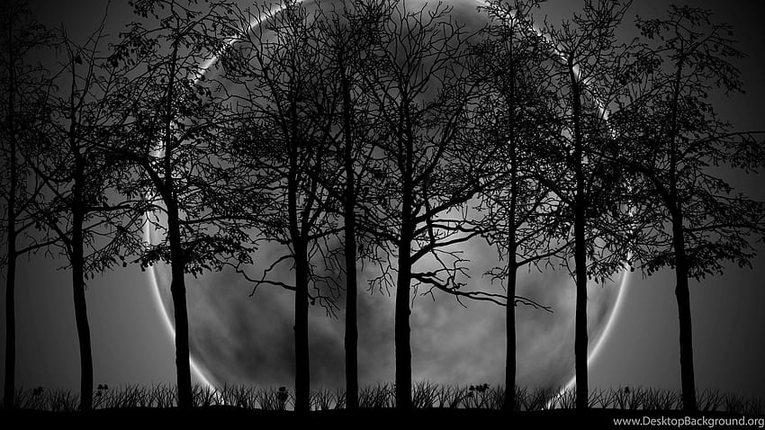 暗い森の月、暗い森の美学 高画質の壁紙