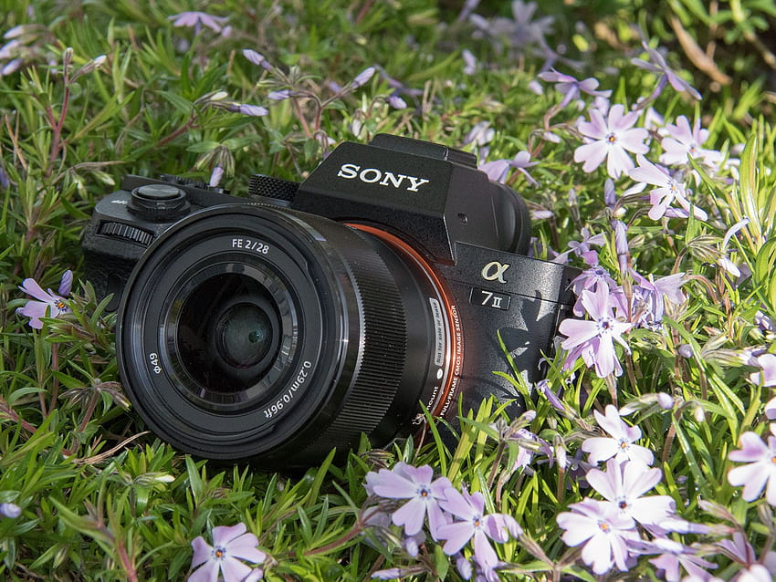 Sony a7 II gains faster focus for adapted lenses and uncompressed Raw: Digital graphy Review HD wallpaper
