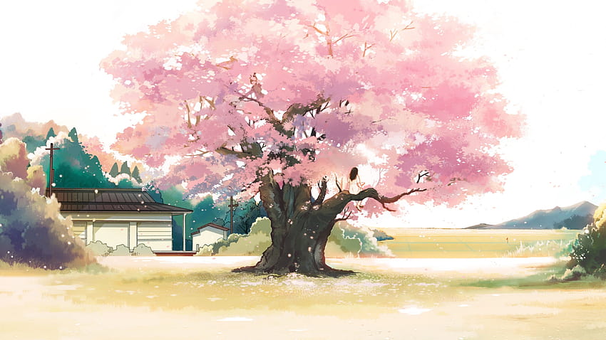 3840x2160 Anime Landscape, Girl, Cherry Blossom, Pink, 3840x2160 anime scenery HD wallpaper