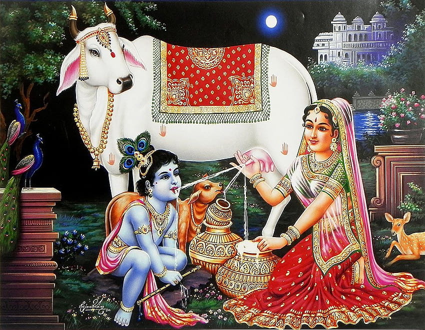 Yashoda füttert Krishna mit Milch, Krishna mit Kuh HD-Hintergrundbild