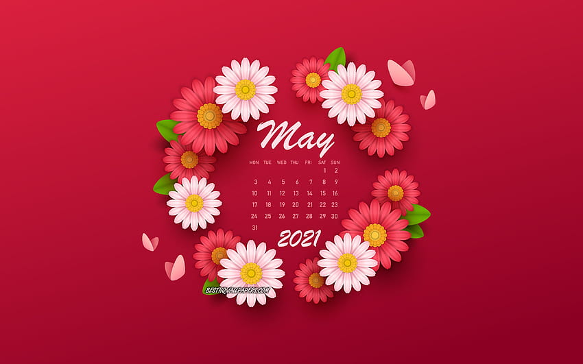 2021 May Calendar, backgrounds with flowers, spring flowers, 2021 spring calendars, May, 2021 calendars, May 2021 Calendar with resolution 3840x2400. High Quality HD wallpaper