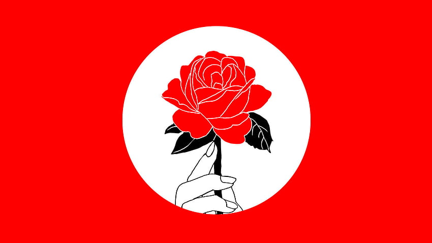 We Should All Be Socialist Feminists, socialism HD wallpaper