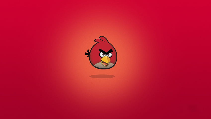 4 Angry Bird for HD wallpaper