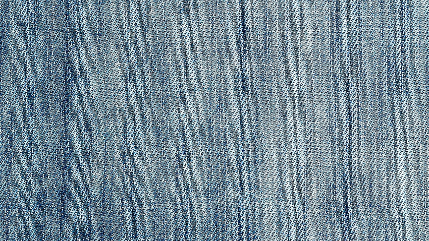 Jeans on Dog, ripped jeans HD wallpaper | Pxfuel