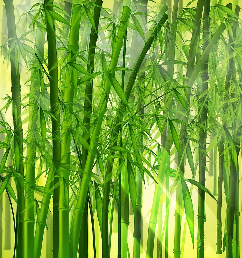 Бамбук, бамбуков фон, природа, бамбуково дърво HD тапет за телефон