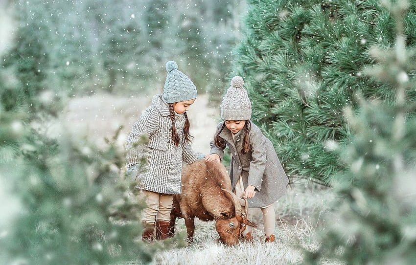 forest, snow, trees, mood, goat, sisters, two girls , section настроения, winter goat HD wallpaper