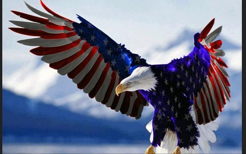 Us Eagle Flag, Computer mit amerikanischer Flagge HD-Hintergrundbild