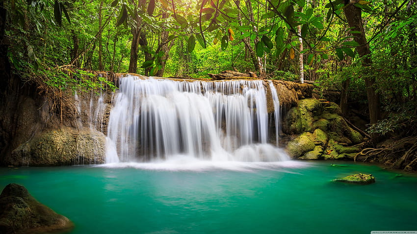 Rainforest Waterfall ❤ for Ultra TV, rain forest HD wallpaper