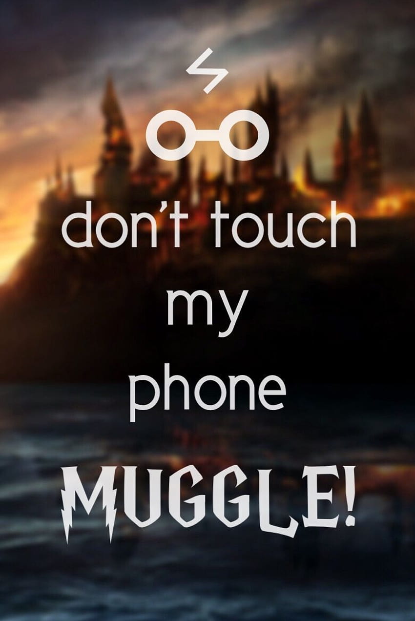 Harry Potter nie dotykaj mojego laptopa na psie, nie dotykaj mojego iPada mugol Tapeta na telefon HD