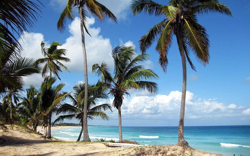 Punta Cana Fond d'écran HD