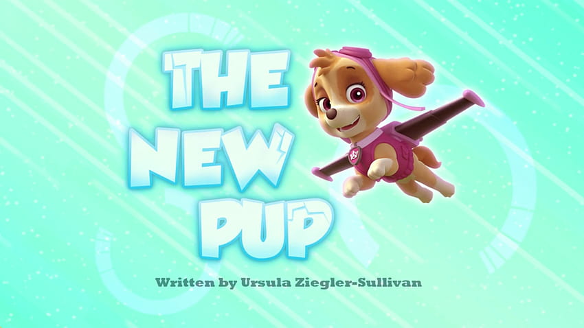 The New Pup, paw patrol tundra HD wallpaper