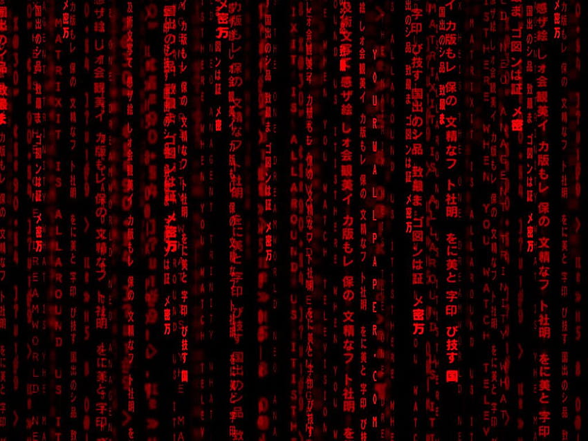 Red Matrix Gif HD wallpaper