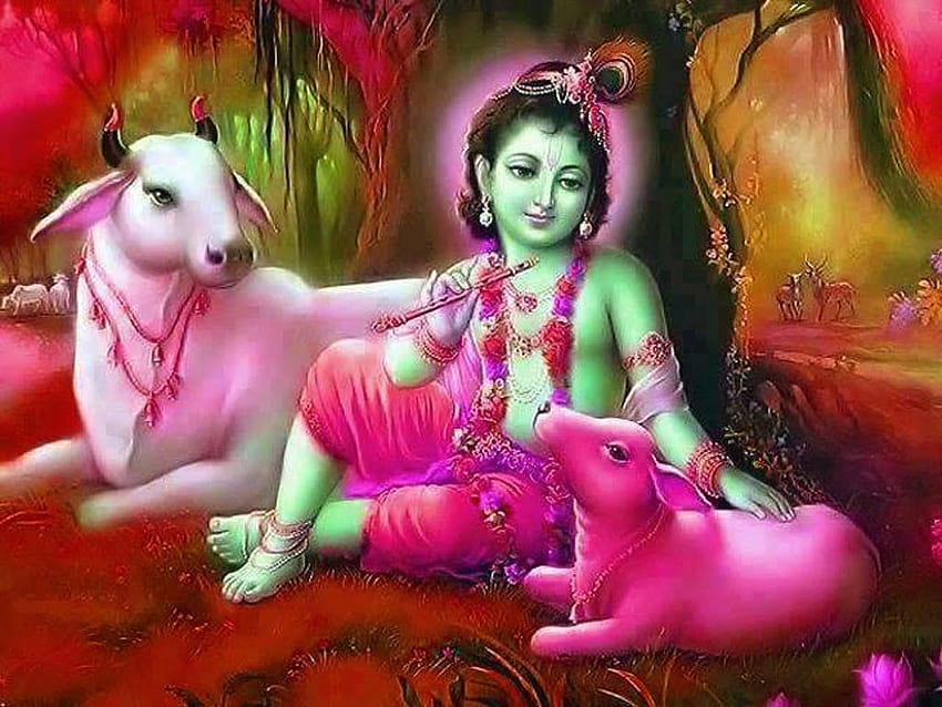 Bebê Krishna fofo com fundos de vaca, krishna com vaca papel de parede HD