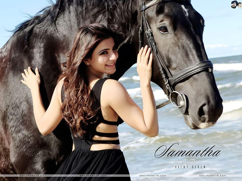 Hot Bollywood Heroines & Actress I Indian Models, Samantha Akkineni Tapeta HD
