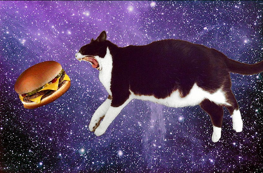Gato Espacial Comendo Hambúrguer papel de parede HD