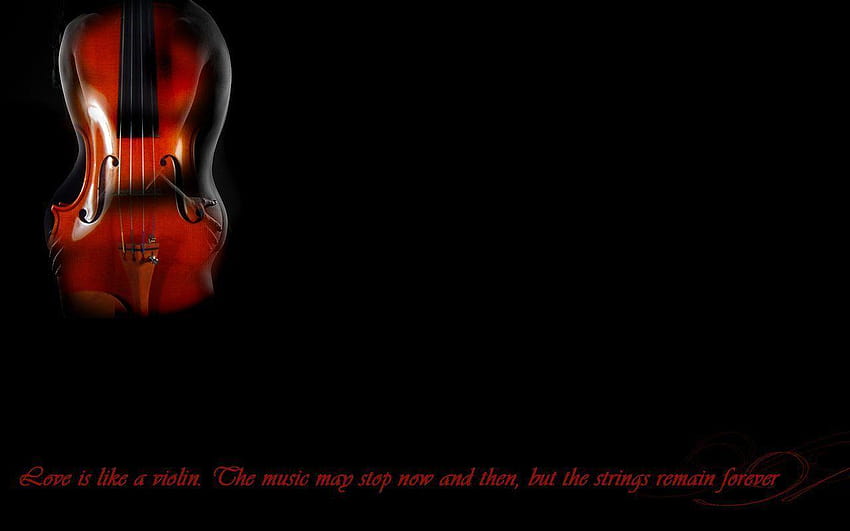 Violin <3 by Hilly HD wallpaper