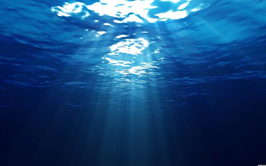 바다 바닥 배경 Tumblr [1680x1050], 모바일 및 태블릿, 바다 바닥 HD 월페이퍼