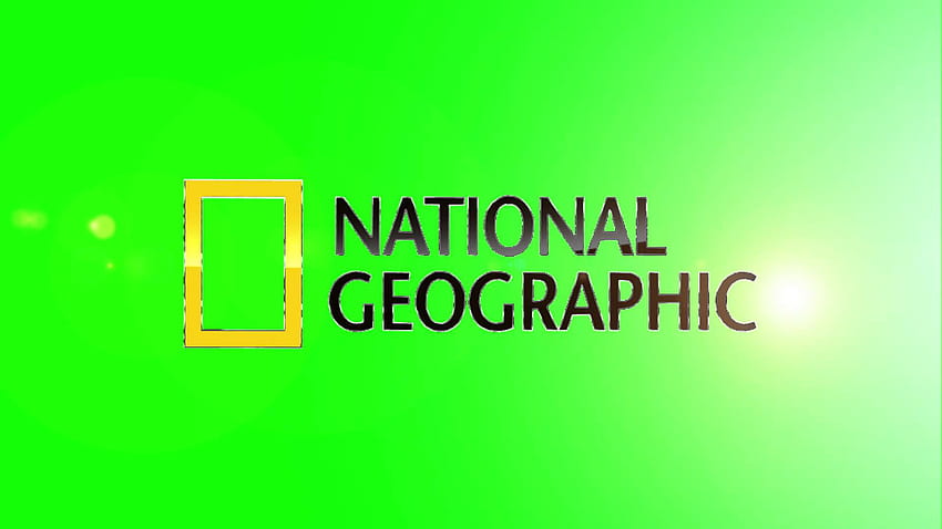 National Geographic Logo Gallery HD wallpaper