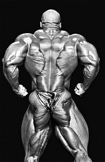 Ronnie Coleman Wallpapers 93 Wallpapers  HD Wallpapers  Bodybuilding  pictures Body building men Body builder