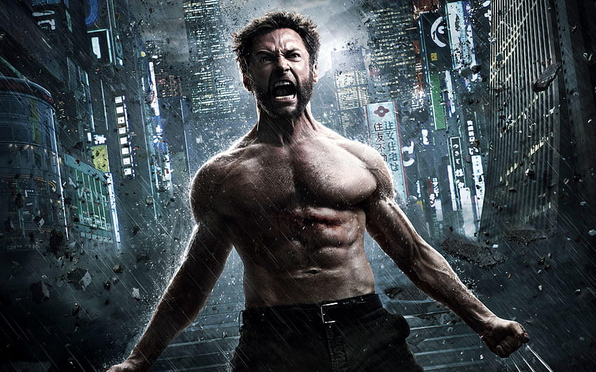 O Wolverine 2013, carcaju papel de parede HD