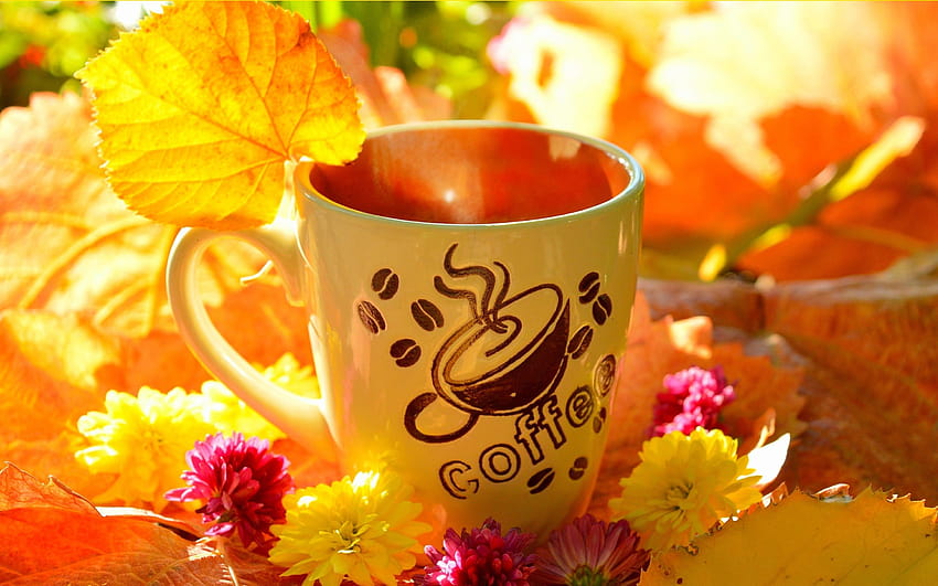 Coffee cup, yellow leaves, flowers, autumn 2880x1800 , autumn mug HD wallpaper