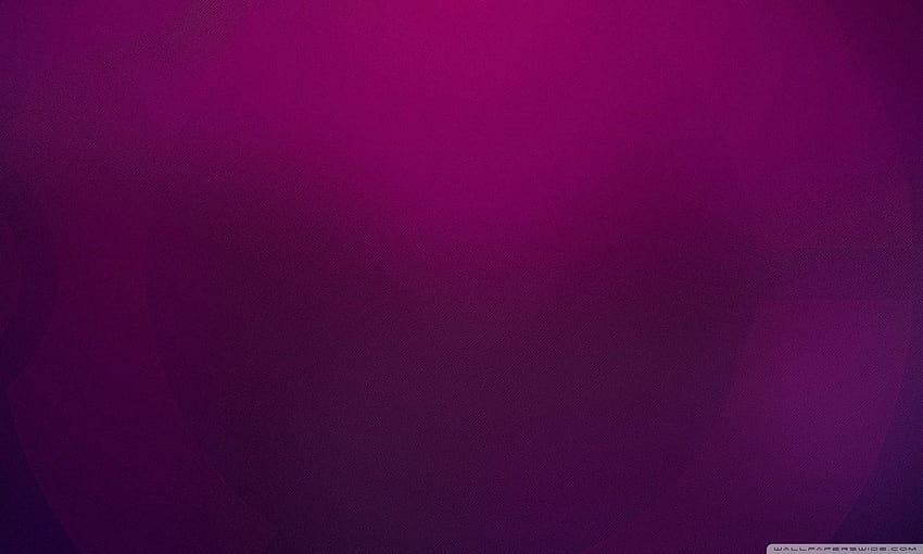 Plain Purple ❤ for Ultra TV • Tablet, plain backgrounds HD wallpaper