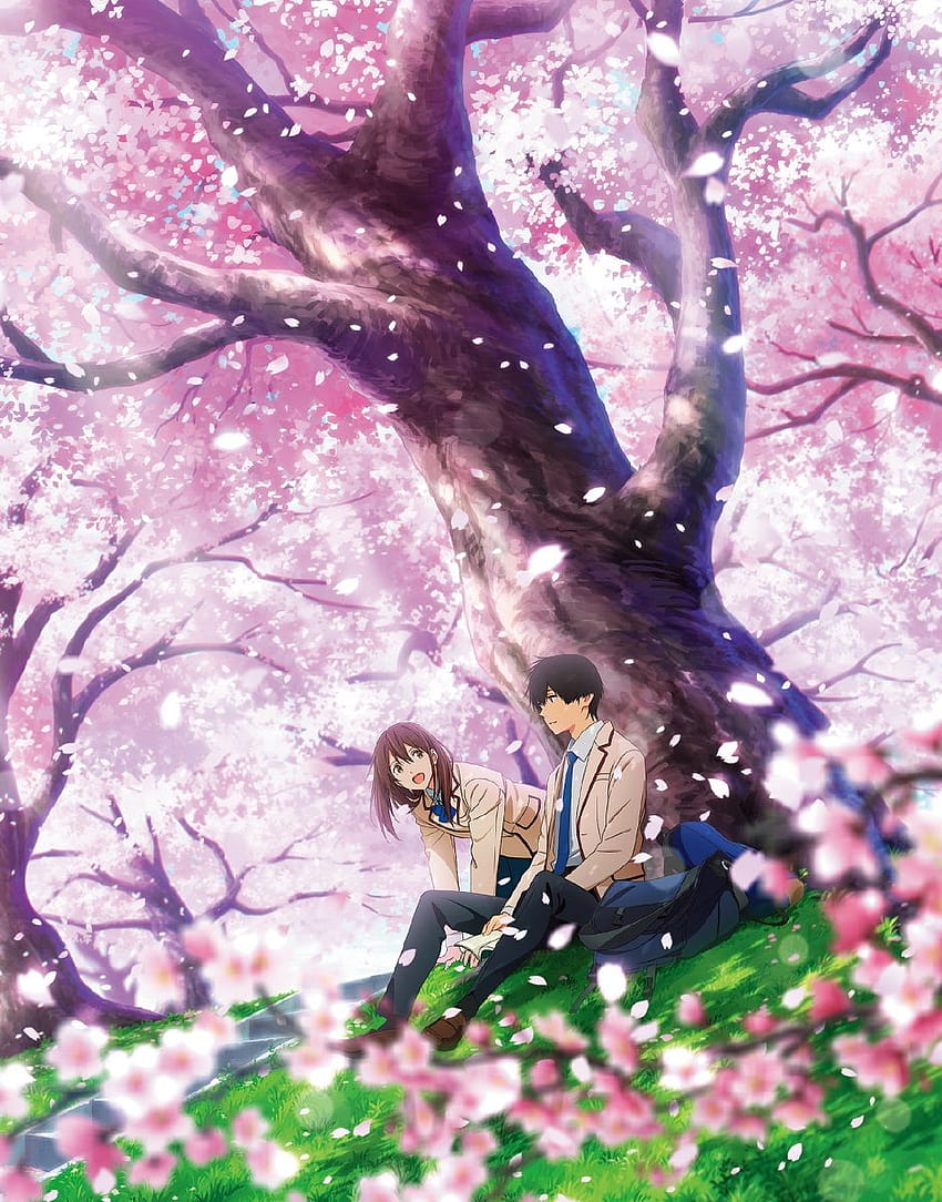 Ich möchte deine Bauchspeicheldrüse Blu essen, Anime, ich möchte deine Bauchspeicheldrüse Sakura essen HD-Handy-Hintergrundbild